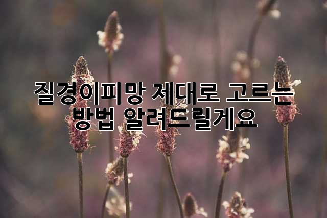 f9da7a97b38ada98ee43188b78bc7ba0.jpg