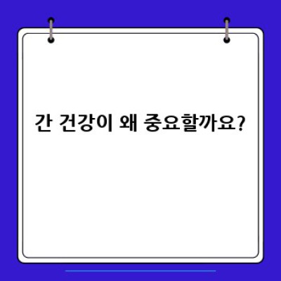 간 건강 완벽 가이드: 궁금증 해결과 건강 관리법