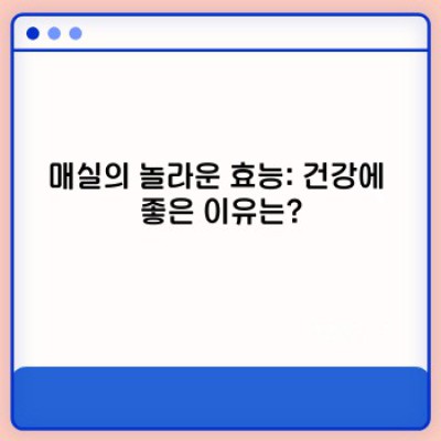 매실의 모든 것: 효능, 재배, 레시피, 그리고 최신 연구 결과까지!