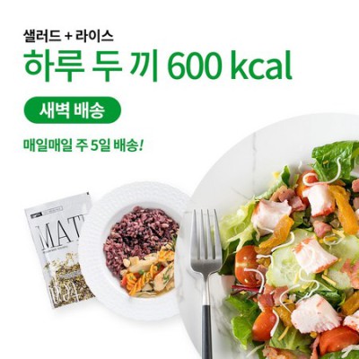 수제도시락 창업, ✨성공비법 후기! 꿀팁 대방출!