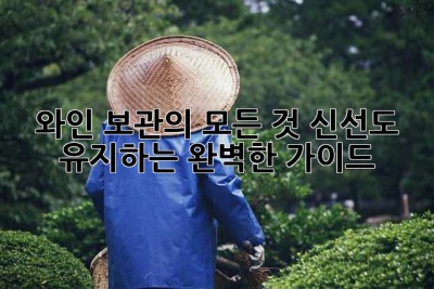 와인 보관의 모든 것: 신선도 유지하는 완벽한 가이드