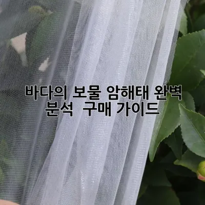 바다의 보물, 암해태 완벽 분석 & 구매 가이드