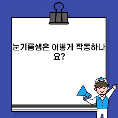 눈기름샘: 눈 건강의 숨은 히어로, 제대로 알고 관리하세요!