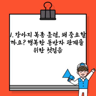우리 강아지, 훈련 없이도 괜찮을까요? 강아지 복종 훈련 완벽 가이드