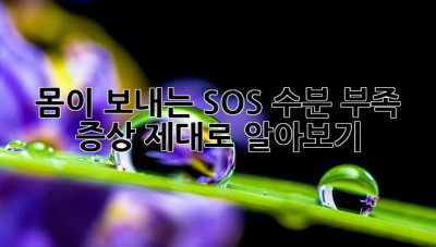 💦 몸이 보내는 SOS! 수분 부족 증상 제대로 알아보기