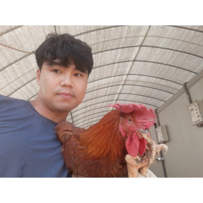 생닭도매 꿀팁! 싱싱한 닭고기 저렴하게 득템하는 방법🐔