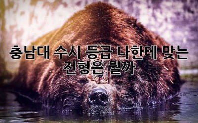 충남대 수시 등급, 나한테 맞는 전형은 뭘까? 🤔