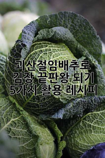 괴산절임배추로 김장 끝판왕 되기! 5가지 활용 레시피