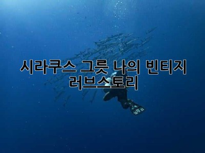 시라쿠스 그릇, 나의 빈티지 러브스토리 ✨