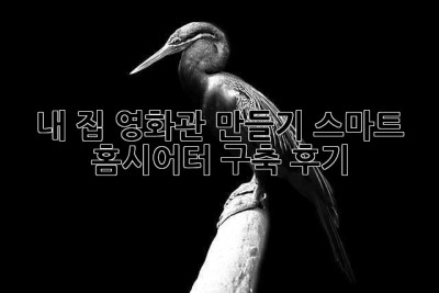 내 집 영화관 만들기: 스마트 홈시어터 구축 후기