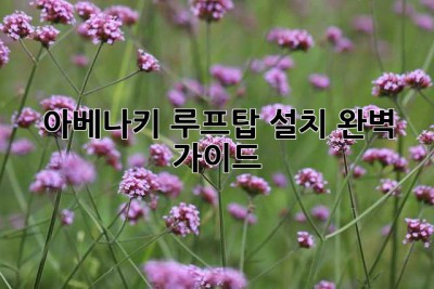아베나키 루프탑 설치, 완벽 가이드
