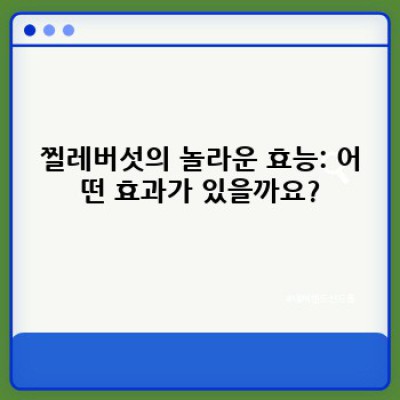 찔레버섯 효능: 궁금증 해소와 건강 관리 가이드