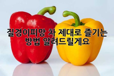 질경이피망 차, 제대로 즐기는 방법 알려드릴게요! 🥰