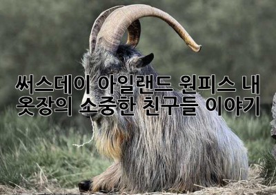 써스데이 아일랜드 원피스: 내 옷장의 소중한 친구들 이야기 ✨