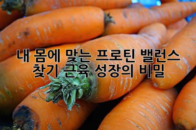 내 몸에 맞는 프로틴 밸런스 찾기: 근육 성장의 비밀
