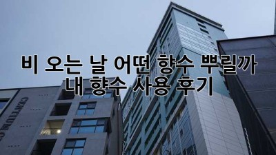 비 오는 날, 어떤 향수 뿌릴까? ☔️ 내 향수 사용 후기