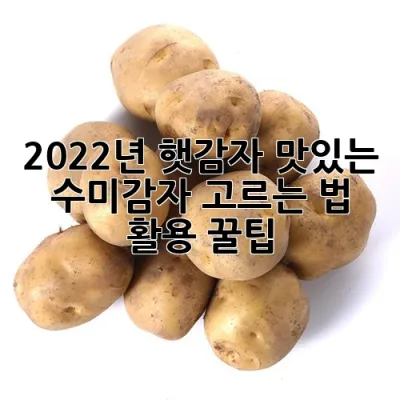 2022년 햇감자, 맛있는 수미감자 고르는 법 & 활용 꿀팁🥔✨