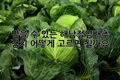 믿을 수 있는 해남절임배추 김치, 어떻게 고르면 될까요? 🤔