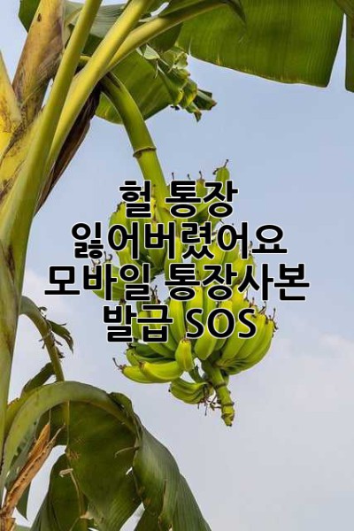 헐... 통장 잃어버렸어요 😭 모바일 통장사본 발급 SOS!