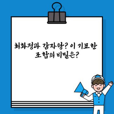 최화정 토스트 감자탕? 그 궁금증, 제대로 풀어드립니다!