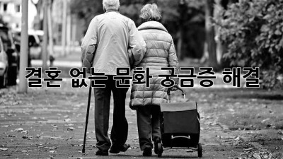 결혼 없는 문화? 궁금증 해결!