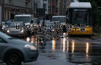 비 오는 날, 어떤 향수를 뿌릴까요? 🤔