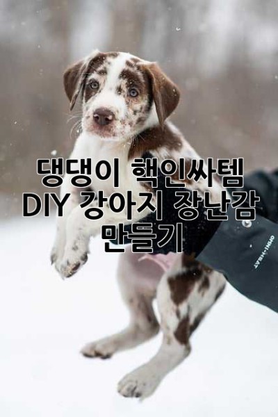 댕댕이 핵인싸템! DIY 강아지 장난감 만들기🐶