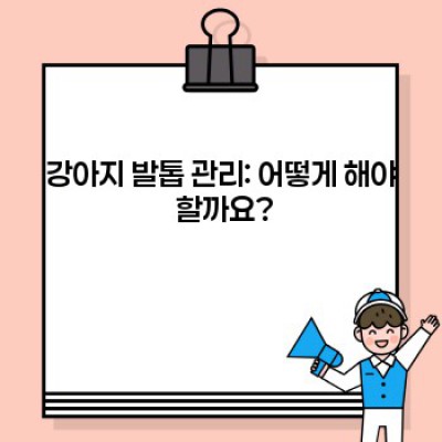 댕댕이 발 건강 지킴이: 강아지 발 관리 완벽 가이드