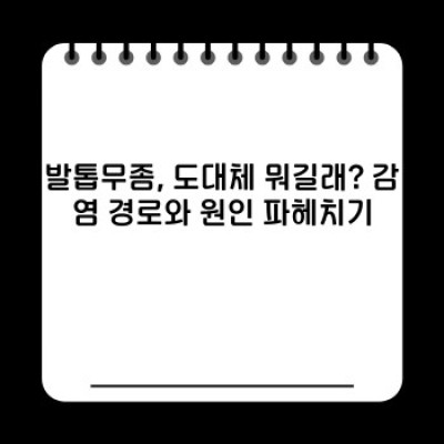 발톱무좀, 완치 가능할까요? 증상부터 치료법, 예방까지 완벽 가이드