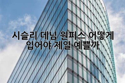 시슬리 데님 원피스, 어떻게 입어야 제일 예쁠까? 🥰