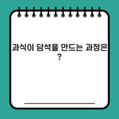과식과 담석: 과식담석증 예방 및 관리 완벽 가이드