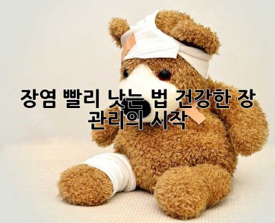 장염 빨리 낫는 법: 건강한 장 관리의 시작