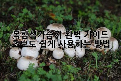 복합식가습기 완벽 가이드: 초보도 쉽게 사용하는 방법!
