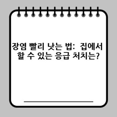 장염 빨리 낫는 법: 증상 완화부터 회복까지 완벽 가이드