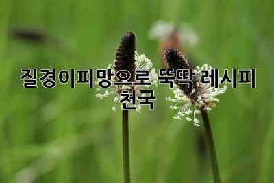 질경이피망으로 뚝딱! 레시피 천국 ✨