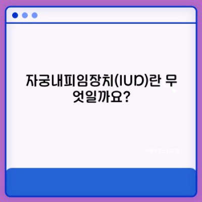 자궁내피임장치(IUD) 완벽 가이드: 종류, 효과, 부작용, 그리고 선택 가이드