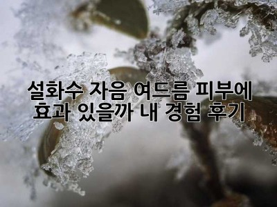 설화수 자음, 여드름 피부에 효과 있을까? 내 경험 후기!