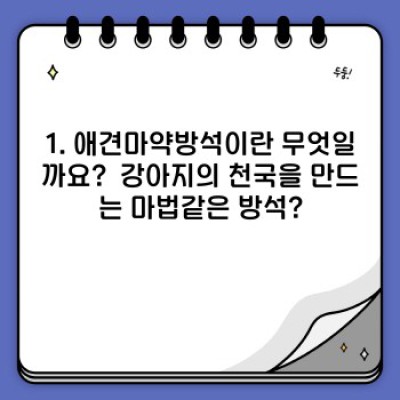 애견마약방석 완벽 가이드: 종류, 선택법, 관리법까지!  강아지의 편안한 휴식을 위한 모든 것