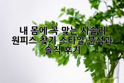내 몸에 꼭 맞는 시슬리 원피스 찾기: 스타일 분석과 솔직 후기