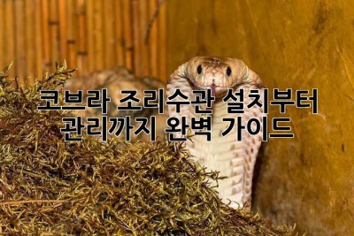 코브라 조리수관 설치부터 관리까지 완벽 가이드