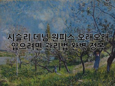 시슬리 데님 원피스, 오래오래 입으려면? 관리법 완벽 정복! ✨