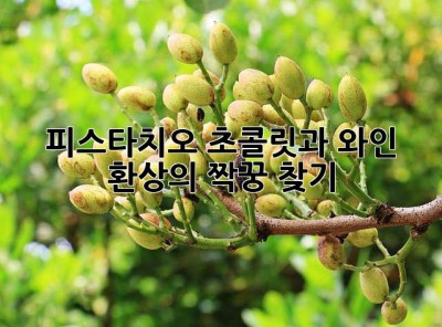 피스타치오 초콜릿과 와인, 환상의 짝꿍 찾기! ✨