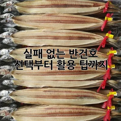 실패 없는 반건호 선택부터 활용 팁까지!