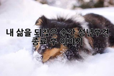 내 삶을 되찾은 순간: 성년후견 종료 후 이야기