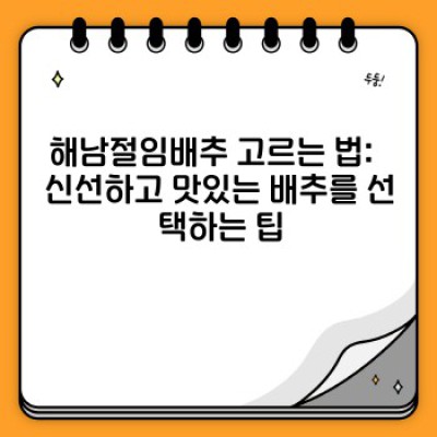 해남절임배추 완벽 가이드: 궁금증 해결부터 최고의 선택까지!