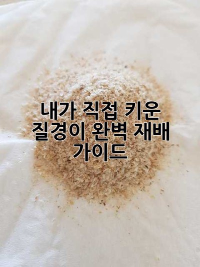 내가 직접 키운 질경이, 완벽 재배 가이드!