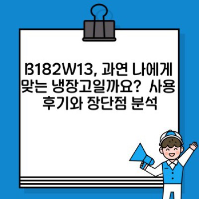 LG전자 2도어 냉장고 B182W13: 꼼꼼 사용후기와 구매 가이드