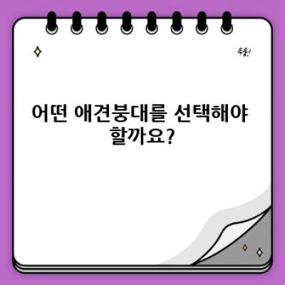 우리 강아지 상처, 어떻게 관리해야 할까요? 애견붕대 완벽 가이드!