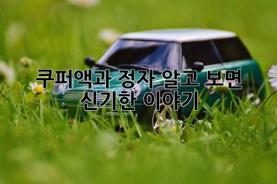 쿠퍼액과 정자, 알고 보면 신기한 이야기!