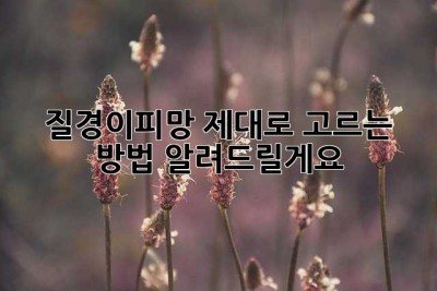 질경이피망, 제대로 고르는 방법 알려드릴게요!